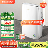 格力（GREE） 大功率除湿机家用客厅卧室轻音抽湿机地下室内干燥机工业除湿器 40L/天 70-120_ DH40EFA1A