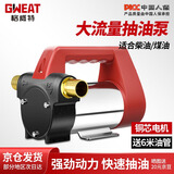 格威特电动抽油泵12V24V直流220V交流加油泵工业柴油输油泵加油机 升级款220V油泵