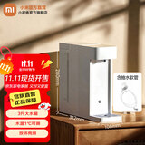 小米米家即热饮水机S1 免安装 3秒速热 即热式饮水机家用 三挡水温 1℃调温 直饮机 米家即热饮水机S1+饮水机抽水软管 即热型