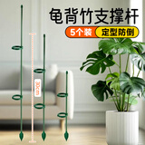 芷郁植物支撑杆花架防倒伏支架园艺吊兰月季架子绿植爬藤架 30cm5支
