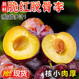 庾丰 当季现摘脱骨李子 新鲜水果整箱 四川脆红酸甜李 团购送礼 3斤装（净果2.5斤）单果19g+ 源头直采 颗颗甄选