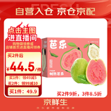 京鲜生 红心珍珠芭乐 番石榴 净重3斤 单果150g+ 生鲜水果中秋礼盒