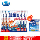 龙王恨鱼饵野战蓝鲫X5青春版腥香饵江河黑坑野钓鲫鲤草鳊鱼通杀钓鱼饵料 蓝鲫青春版-腥香(共1500g/5包)