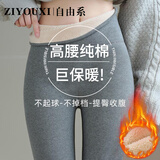 自由系羊羔绒保暖裤女高腰纯棉打底裤秋冬加绒加厚螺纹东北绒裤秋裤外穿