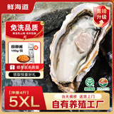 鲜海道【品质】鲜海道生态生蚝  乳山牡蛎 活鲜海蛎子生鲜贝类 品质升级5XL净重4斤（6-9只）
