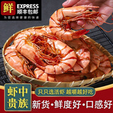 蝶岛船说东山岛大九节虾干即食特大烤虾干风干大烤虾对虾干大斑节虾干干货 大九节虾干 500克/（40-55只）