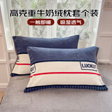 艾薇牛奶绒枕套法兰绒学生宿舍枕头套一个 清风韵律 48*74cm