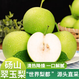 京地达梨砀山翠玉梨翠冠梨新鲜香梨子水果净重8.8斤单果250g+源头直发