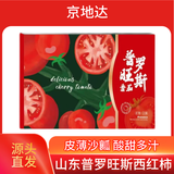 京地达栗贝诺山东普罗旺斯番茄西红柿 净重4.5斤 单果100g+蔬菜源头直发