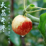 栩季（XUJI）陕西大荔新鲜冬枣脆甜多汁孕妇水果青红冰糖冬枣子应季水果 5斤单果20g+【精选特级果】