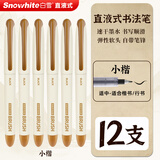 白雪（snowhite）直液式秀丽笔小楷 勾线笔软笔式仿毛笔头练字签名书法绘画美工笔12支 小楷PM36