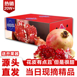 愉果（yuguo）突尼斯软籽石榴水果花皮果 新鲜水果生鲜礼盒 5斤中果优选净重4.5斤 单果4-5两