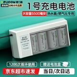 德力普（Delipow）1号充电电池 D型电池大容量5500毫安一号电池适用热水器煤气灶 4槽充电器+4节1号5500毫安电池