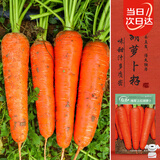 寿禾 胡萝卜种子苗三红心七寸参秋季蔬菜籽 三红胡萝卜种子20g约1万粒