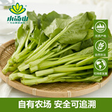 小汤山 菜心 250g 基地直供新鲜蔬菜安全可追溯