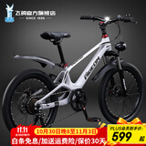 飞鸽（FLYING PIGEON）镁合金儿童山地自行车中大童内走线中小学生车男女少年运动赛车 镁合金车架-变速-辐条轮-银色 22寸（140-165cm）