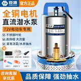 臣源直流潜水泵48-60v高扬程12V24V72V电瓶车抽水泵家用农用抽水机 72V1寸(10米线+10米水带)防烧机