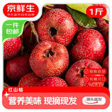 京鲜生 山东红山楂 净重1斤装冰糖葫芦 生鲜水果 源头直发包邮
