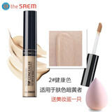 得鲜韩国 the SAEM 丝滑遮瑕液粉底液遮盖遮瑕唇部打底修容跨境 the SAEM丝滑遮瑕液 02号 健康色