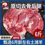 公羊去骨羊后腿肉生羊腿肉新鲜现杀整只鲜羊肉羔羊肉 6斤去骨后腿纯肉