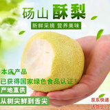 梨园颐珍正宗砀山酥梨 新鲜梨子皇冠梨脆甜无渣多汁爽口产地当季头茬现摘 国家地理标志授权认证产品 净重4.5斤左右（大果王）
