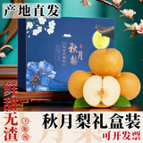 晟容果蔬山东秋月梨新鲜采摘冰糖梨子礼盒当季水果甜现摘现发送礼佳品包邮 5斤甄选果【普装丨约6-9个】净4.5斤