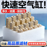 创宁过滤材料细菌屋硝化过滤石 底滤陶瓷环中孔石英球养鱼用品 石英纳米细菌屋【大号100根】吸附、分解有害物