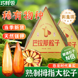 巧鲜尝云南特产巴拉那松子仁熟食拇指大颗粒松子坚果年货送礼零食2盒装