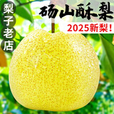 汇尔康砀山梨4.5斤丰县酥梨新鲜采摘当季水果酥脆多汁