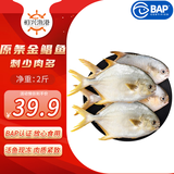 恒兴食品 原条金鲳鱼净重2斤/4条装 BAP认证海鲜生鲜深海鱼火锅食材 