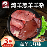 公羊新鲜羊杂冷冻生鲜半成品生羊杂批发心肝肺肚肠羊杂碎羊肉顺丰 3斤装小山羊心肝肺2套左右