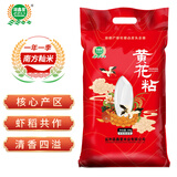 湖鑫星 黄花粘米 南方籼米 Q弹软糯 油粘米 长粒大米50斤