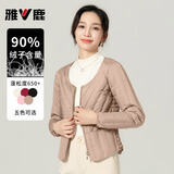 雅鹿2025新款羽绒内胆长袖羽绒服女短款秋冬圆领修身排骨薄款外套 驼色 M 推荐95-105斤
