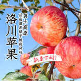 东方甄选洛川苹果水果新鲜当季整箱时令生鲜脆甜多汁4斤-8.5装 5斤（小果 170g+ 10-14个）
