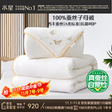 水星家纺蚕丝被100%蚕丝冬被子冬季子母被二合一被芯约9.6斤220×240cm