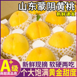 三萌果蔬正宗蒙阴黄桃【多地次日达】山东黄毛桃新鲜桃子端午节水果礼盒 5斤特级果【品质好果】净重4.5斤