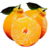 壹棵弘芯正宗现摘丑八怪柑橘子新鲜水果当季酸甜口湖北橘子生鲜整箱 特级5斤大果超值装 净重约为4斤+