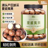 脆美人 新货夏威夷果大颗薄壳奶油味坚果炒货零食干果400g罐装
