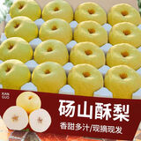 梨子新鲜10斤砀山梨酥梨应季10斤包邮现摘雪梨水果梨脆甜整箱贡梨 5斤中果