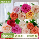 云南鲜花批发品质玫瑰百合水养鲜切花送女友生日礼物源头直发 玫瑰10枝-任意色 【任选2件—不收运費】