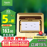 施耐德电气 五孔地插(带底盒) 弹出阻尼式防水地面地板插座铜质E227C10U_BAS