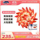 Clearwater北极清水加拿大北极贝1kgM码 51-70只 0添加餐饮装  礼盒装