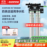 爱惠浦（Everpure）Freshdrink2-MC2双联净水器 商用奶茶咖啡店净水机净水器商用净饮机 MC2双联10寸滤瓶简易款