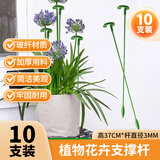芷郁园艺支撑杆花架固定器花支架神器植物花杆爬藤防倒伏 37cm10支