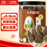 十月稻田 羊肚菌 30g（5-8cm）云南产 山珍菌菇干货 鸡汤煲汤火锅食材
