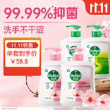 滴露（Dettol）洗手液抑菌滋润450g*2+松木450g*2儿童家庭补充装消毒温和护手