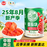 屯河新疆内蒙番茄罐头新鲜番茄丁0添加剂西红柿块火锅炒菜调味番茄块 番茄块400g*12罐【餐厅同款 炖煮更出味】