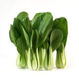 上海青约500g(油菜)