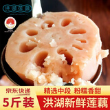 洪湖农家京东包邮 莲藕新鲜 洪湖粉藕 蔬菜 生鲜5斤 火锅食材 洪湖莲藕