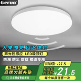 格润莱特（GERUN）led雷达感应吸顶灯 智能感光微波人体楼梯感应灯过道走廊节能灯具 24W Φ29cm 雷达感应三防吸顶灯